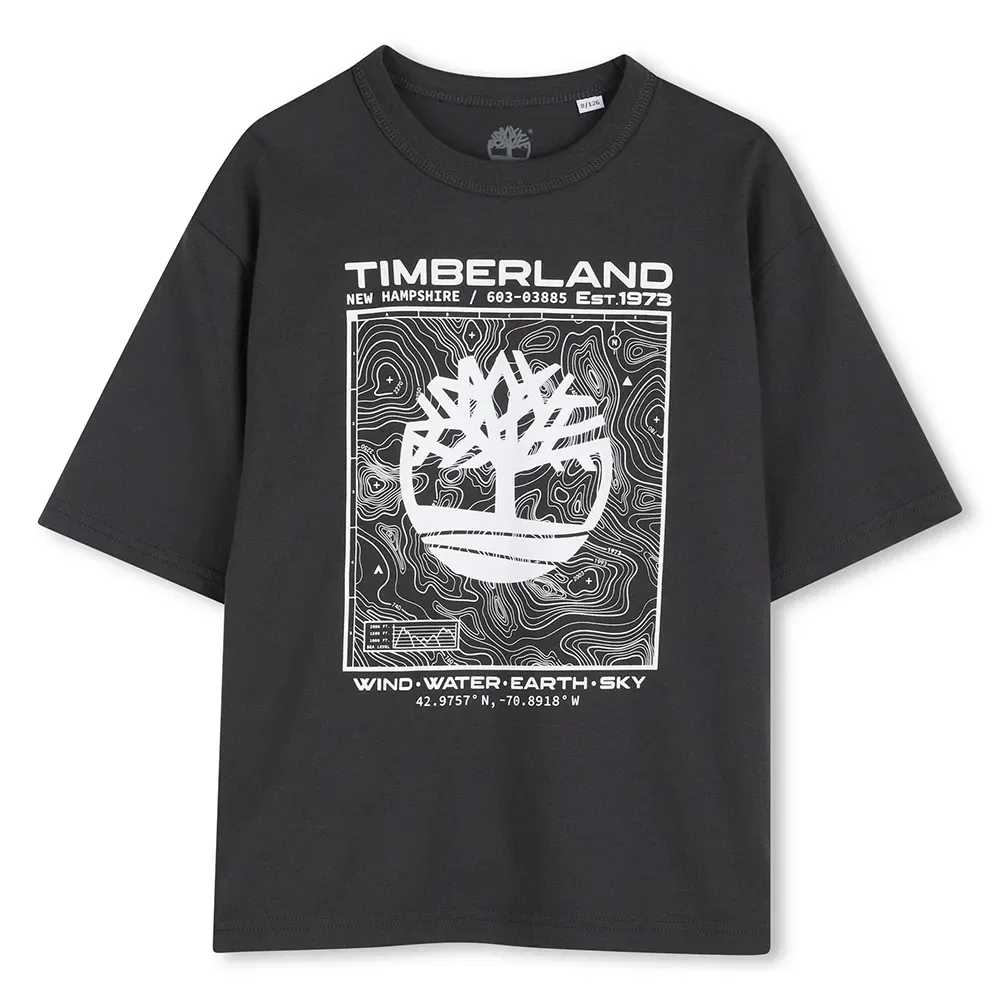 Футболка Timberland T60794, серый
