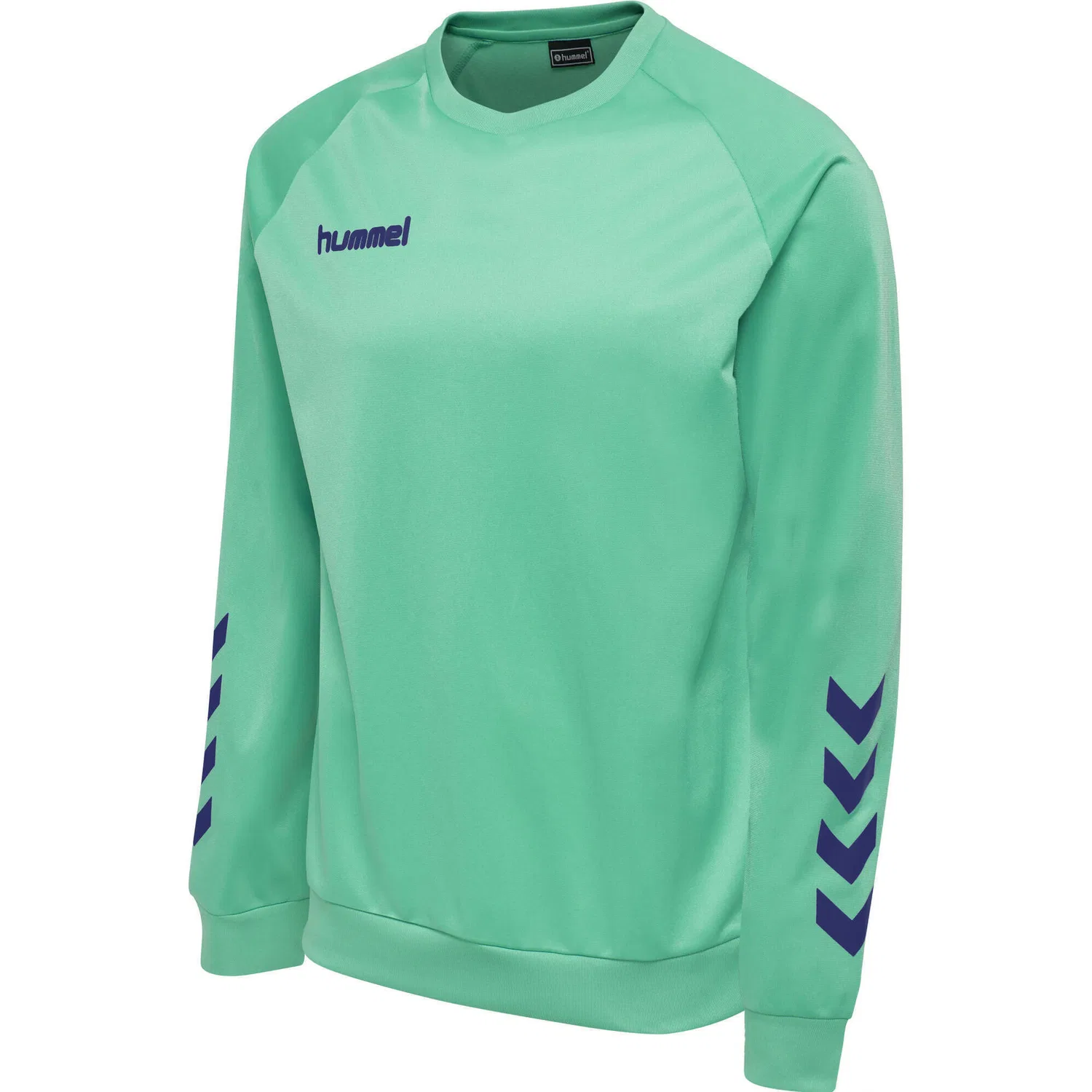 Детский свитшот с длинным рукавом Hmlpromo Hummel, Atlantikblau Turkis