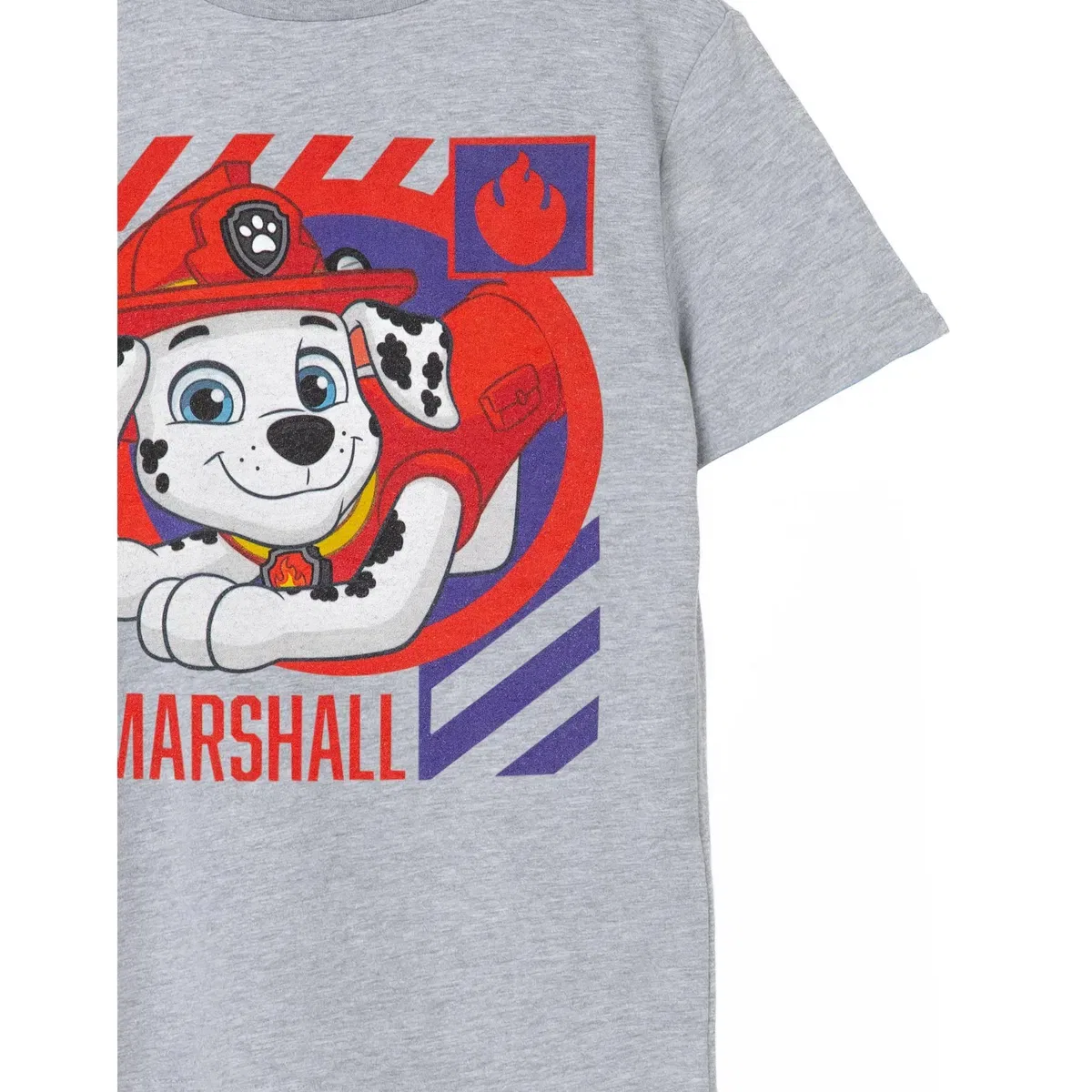 Детская футболка с коротким рукавом Marshall Paw Patrol, Grey — фото 4