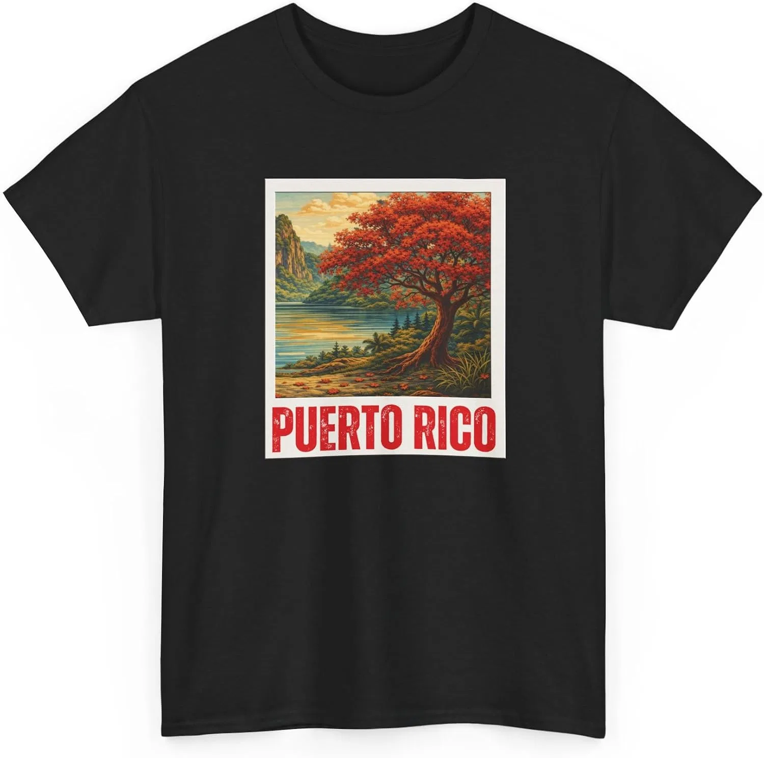 Женская футболка с принтом Puerto Rico Scenic Boricua Heritage Mountain Flamboyan, чёрный