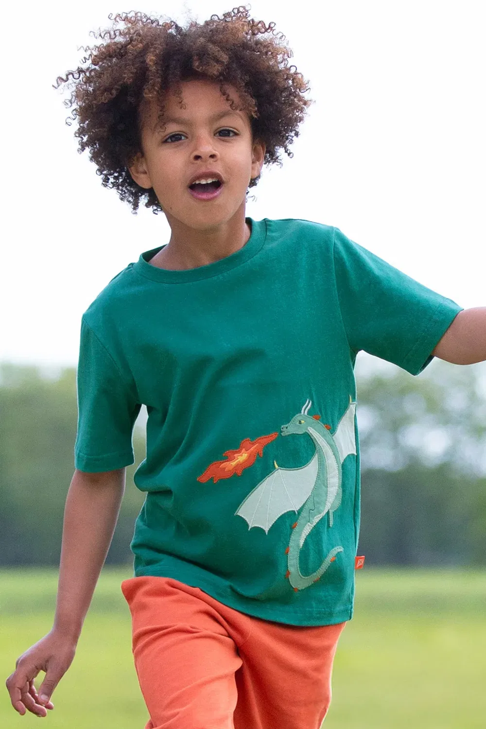 Футболка с принтом Dragon'S Roar Kite, Green — фото 2
