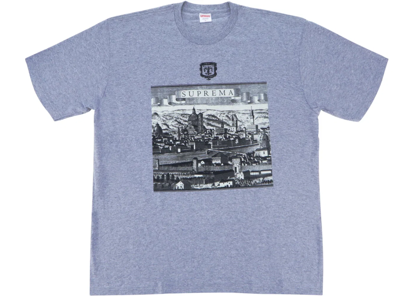 Мужская футболка с принтом Supreme Fiorenza, Heather Grey