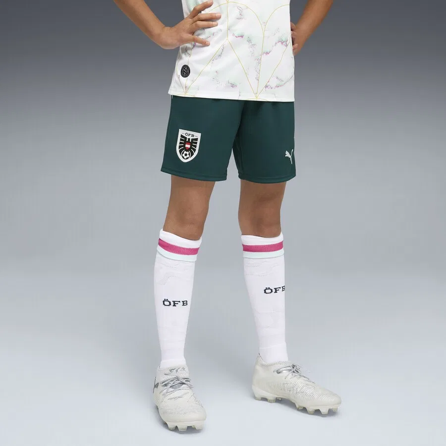 Спортивные брюки PUMA Regular Workout Pants 'Osterreich 2026' в пастельно-зеленом и темно-зеленом цветах — фото 3