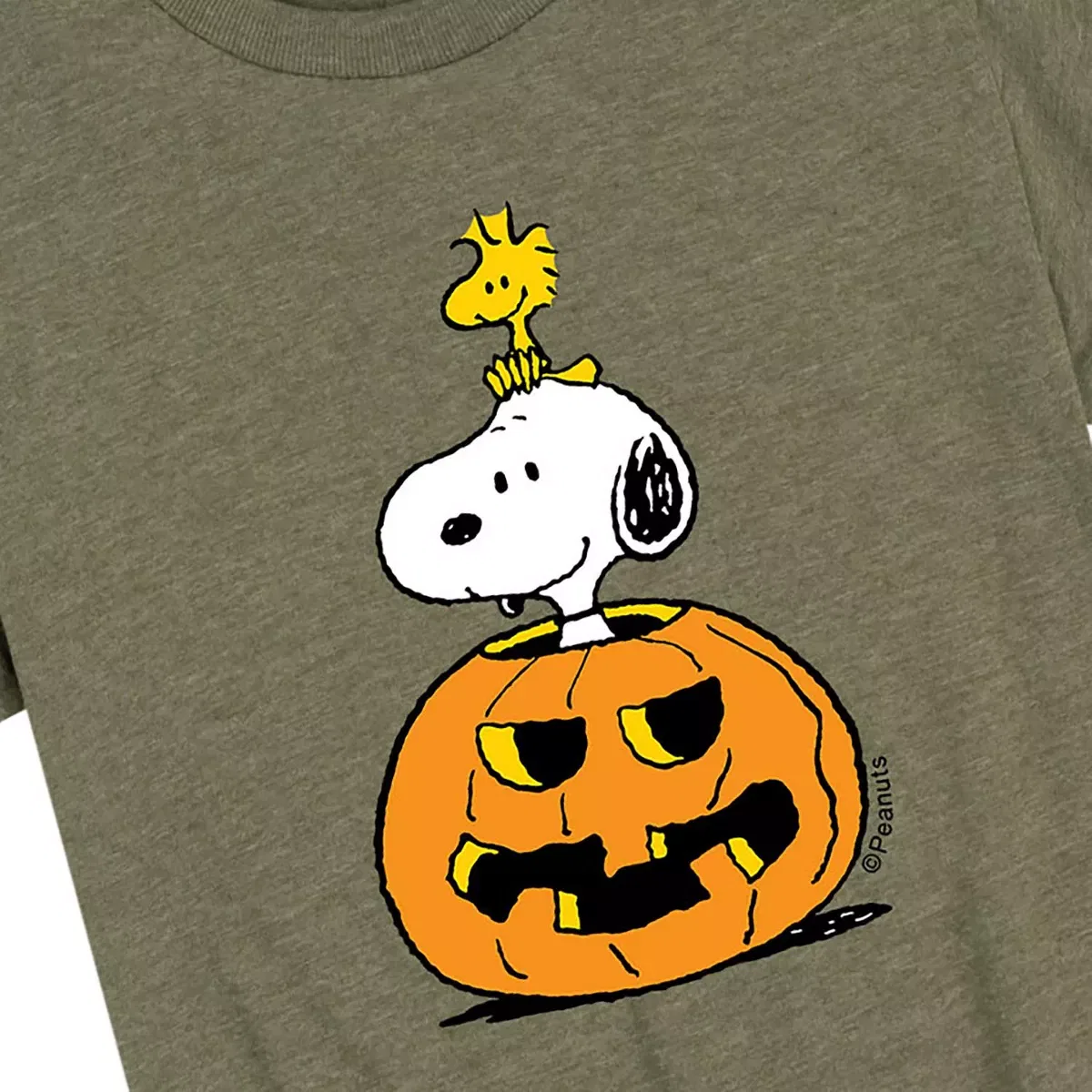 Детская футболка с коротким рукавом с принтом Snoopy Woodstock Pumpkin Peanuts, Heather Military Green — фото 2