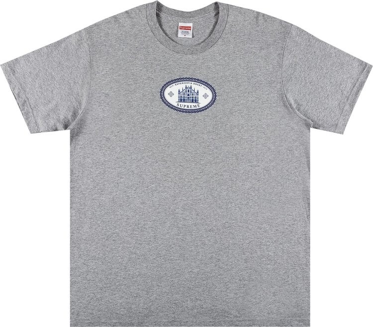 

Футболка Supreme Experientia Tee 'Heather Grey', серый