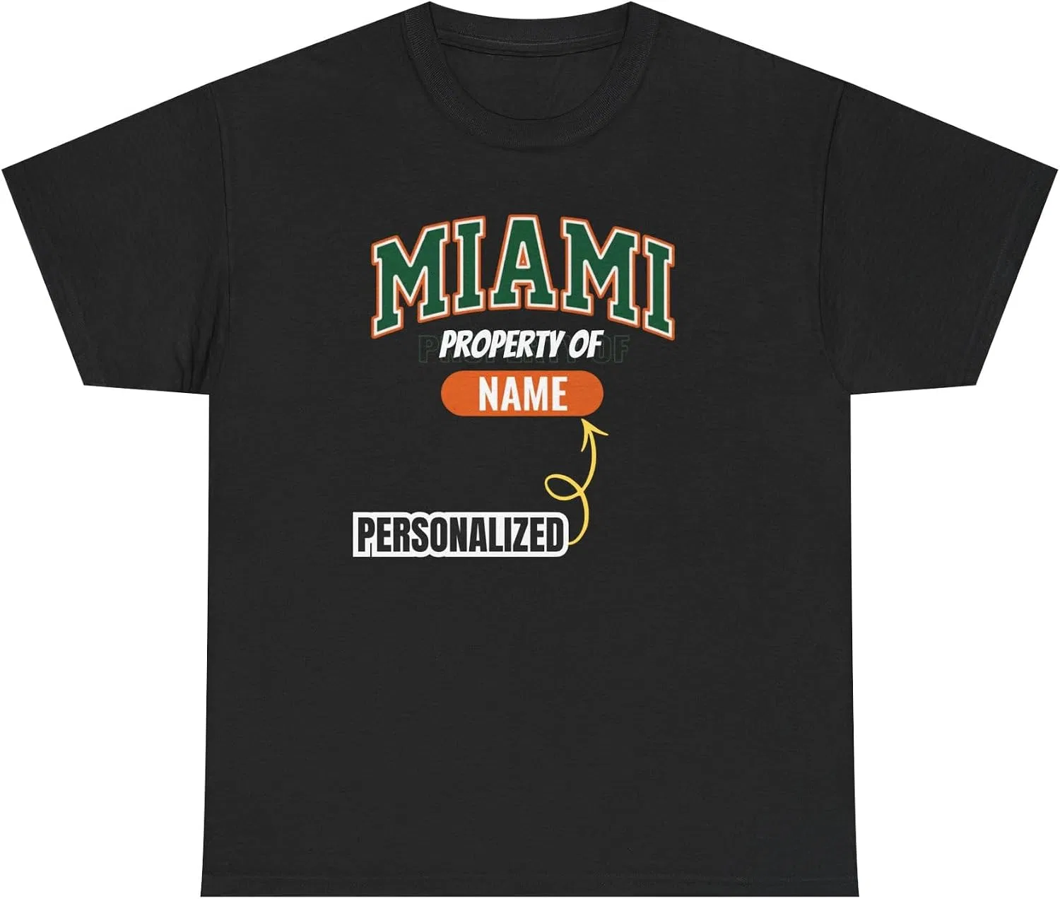 Футболка с принтом Miami Florida Gildan 5000, Black