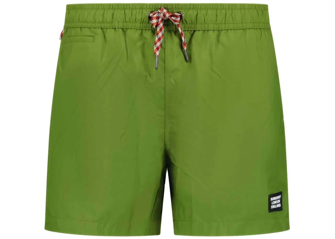 Мужские шорты для плавания с принтом Swim Shorts Burberry, Green