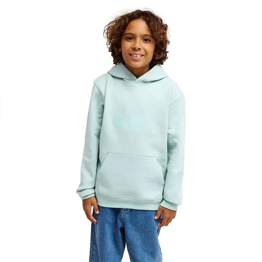 Худи Comp Logo Quiksilver, зеленый