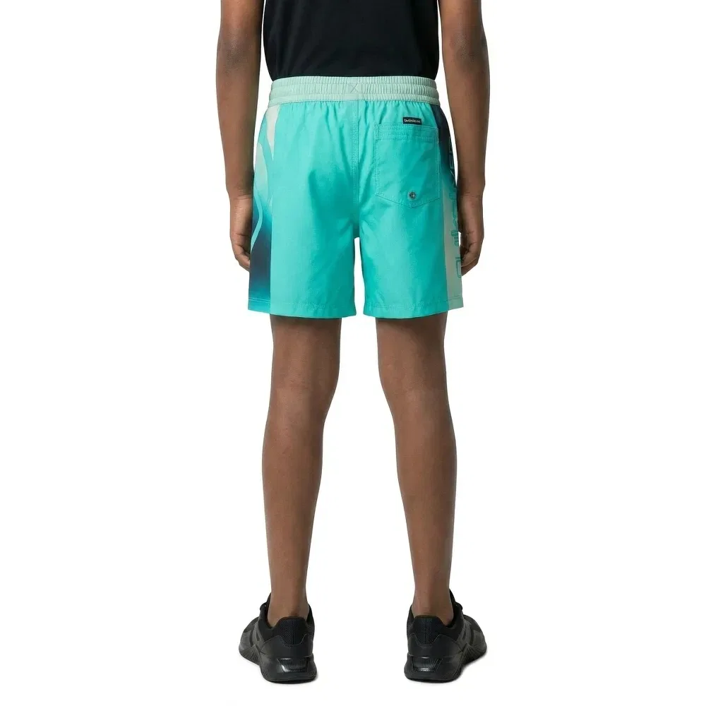 Плавки Everyday Holmes Volley 16'' Quiksilver, зеленый — фото 4