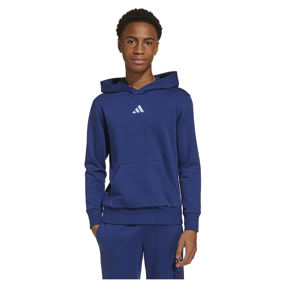 Детское худи для девочек с принтом Essentials Small Logo Adidas, Blue