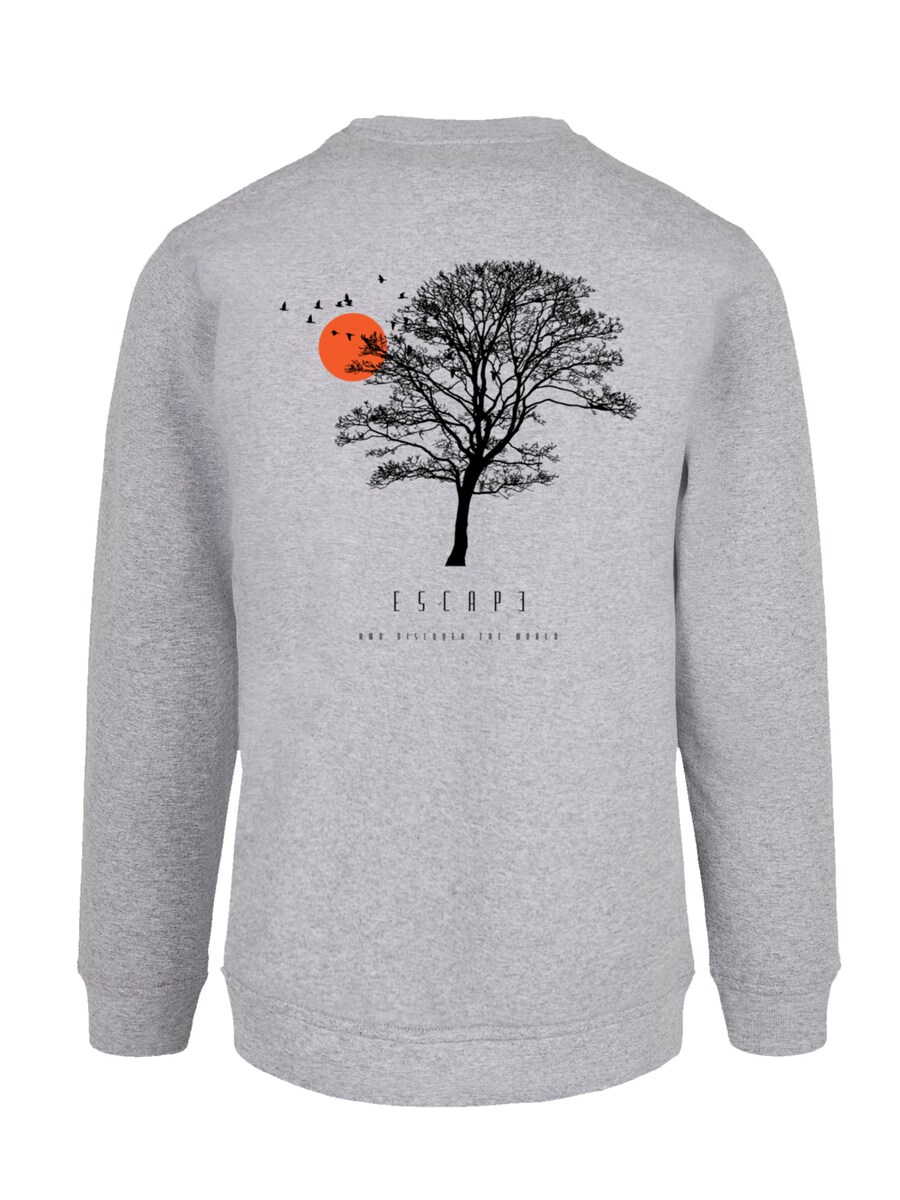 

Толстовка F4NT4STIC Escape Discover the World Tree Birds, серый