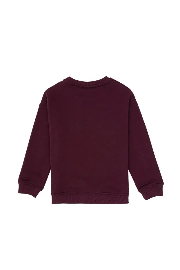 Детские свитшот для мальчиков с длинным рукавом U.S. Polo Assn., Plum — фото 2