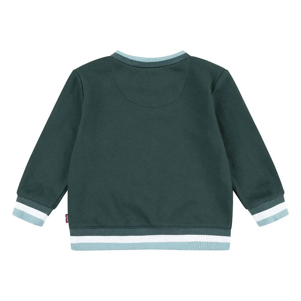 Детский свитшот с принтом Varsity Tipped Crew Levi's, Green — фото 2