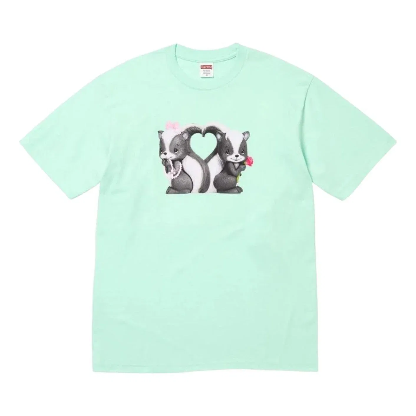 Мужская футболка с принтом Supreme SS26 Skunk, цвет Mint