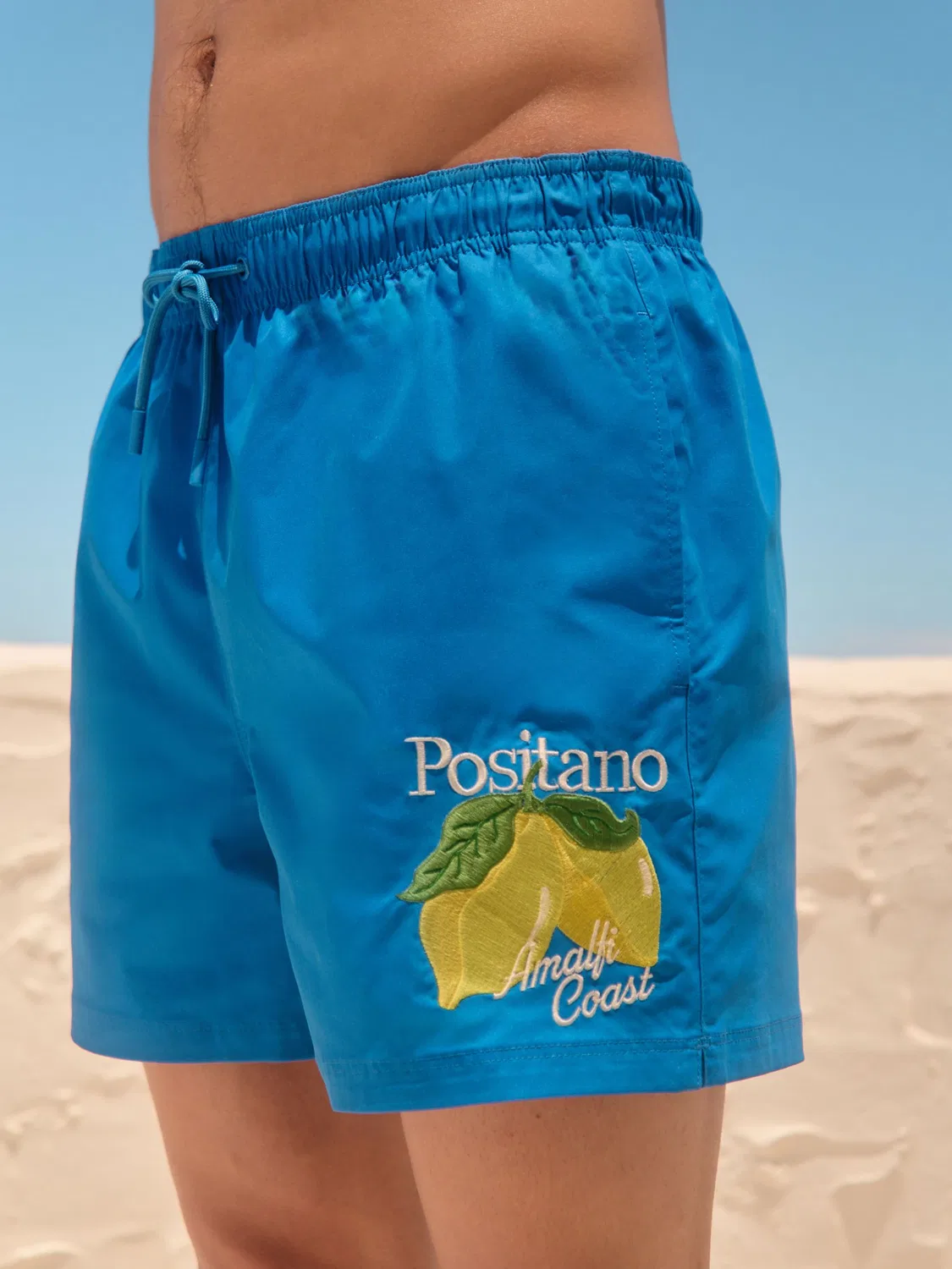Плавки с принтом и вышивкой, 5 дюймов Next, Blue Positano
