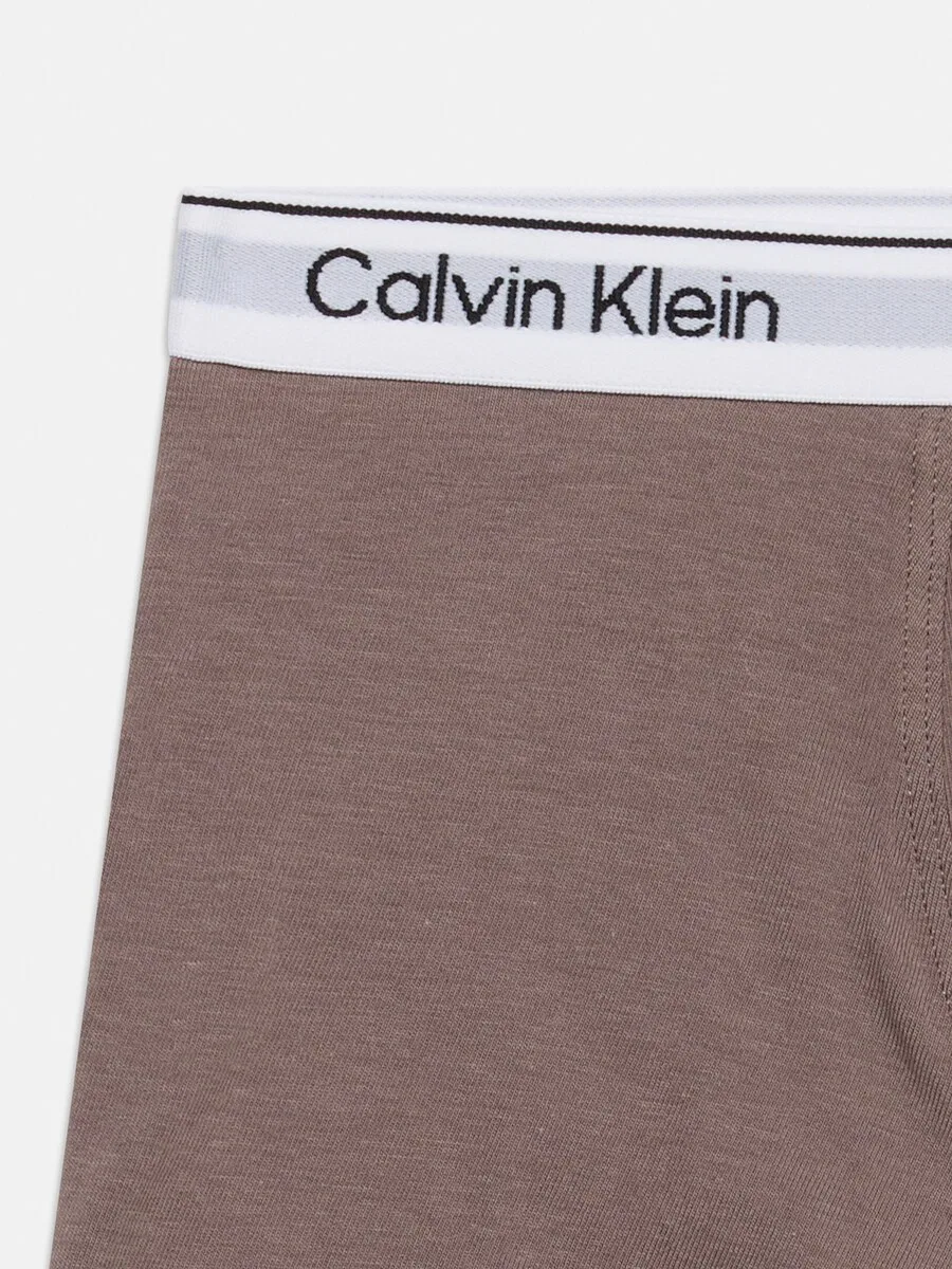 Трусики Calvin Klein Underwear коричневого и серого цвета с пятнистым рисунком — фото 4