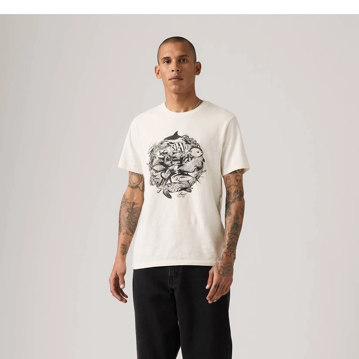 Стандартная классическая футболка с графическим принтом Levi's, Levis Aquatic Egret - White — фото 3