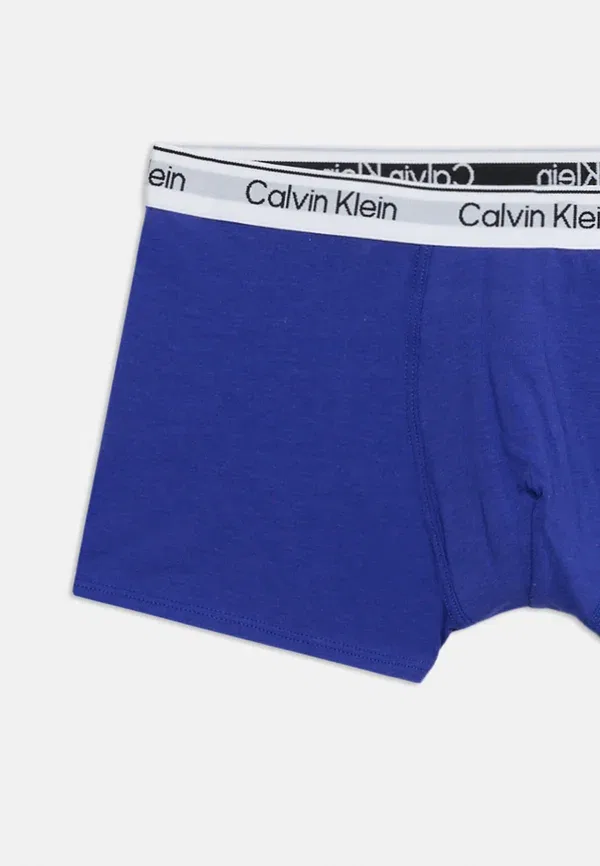 Комплект боксеров 2 шт Calvin Klein Underwear, голубой/серый — фото 4