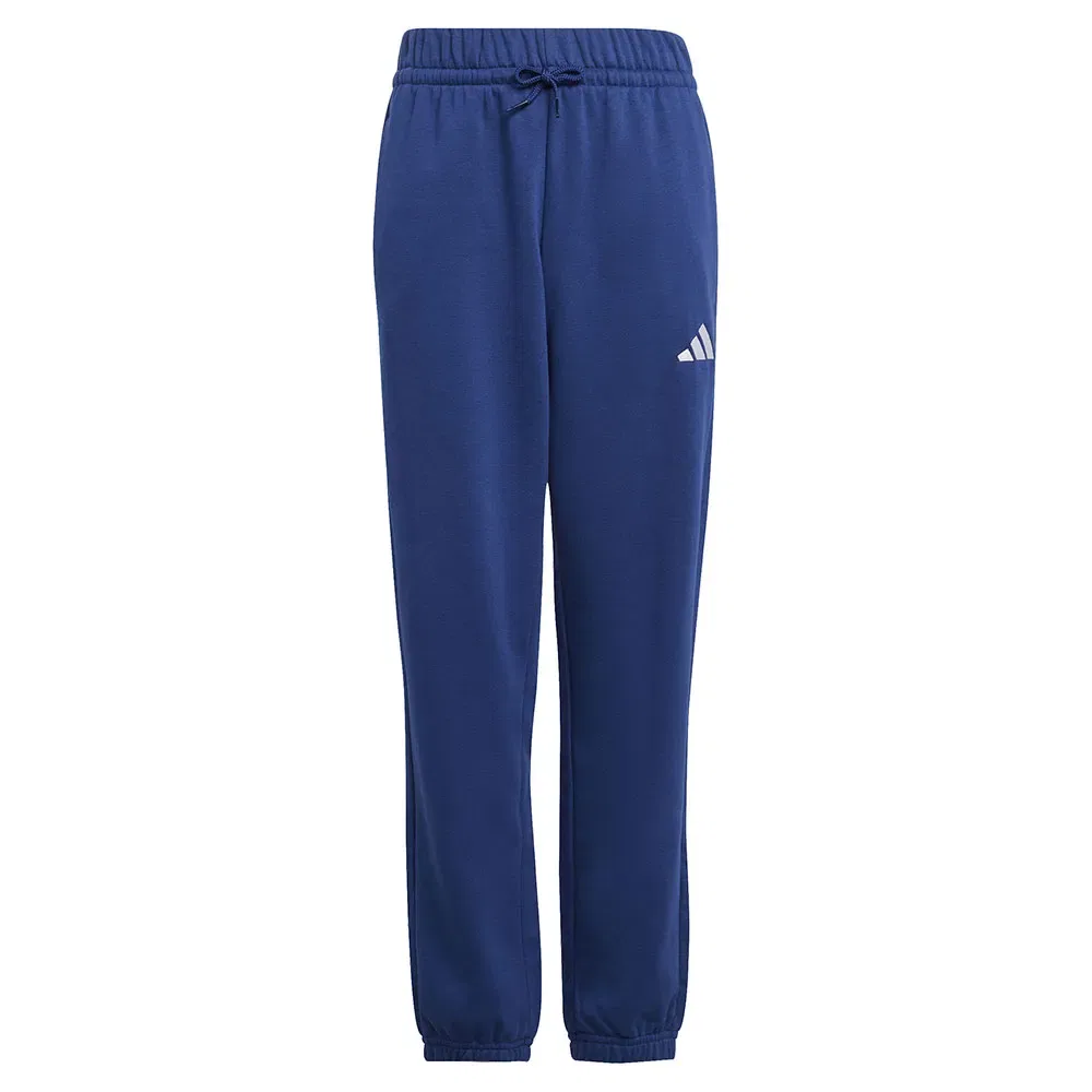 Брюки Adidas Essentials Small Logo, синий — фото 3