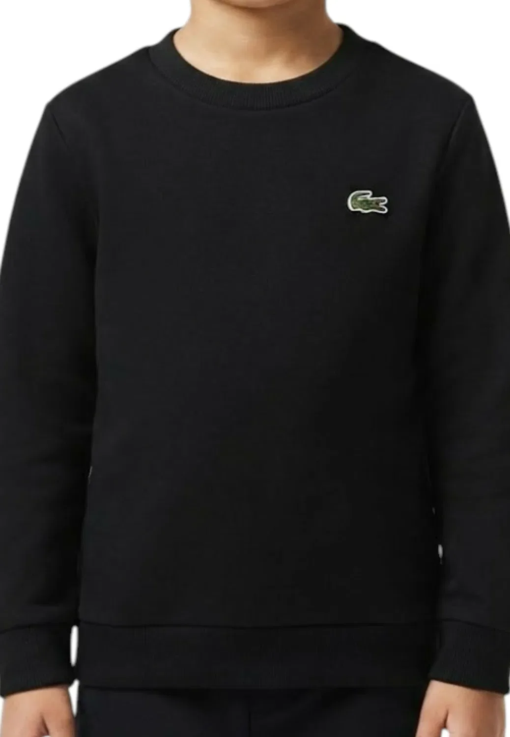 Толстовка из французской махровой ткани цвета k96 Lacoste, Black