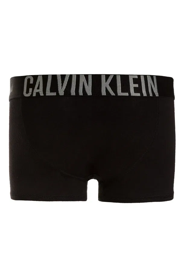 Комплект из 2 трусов - трусы Calvin Klein Underwear, черный — фото 2