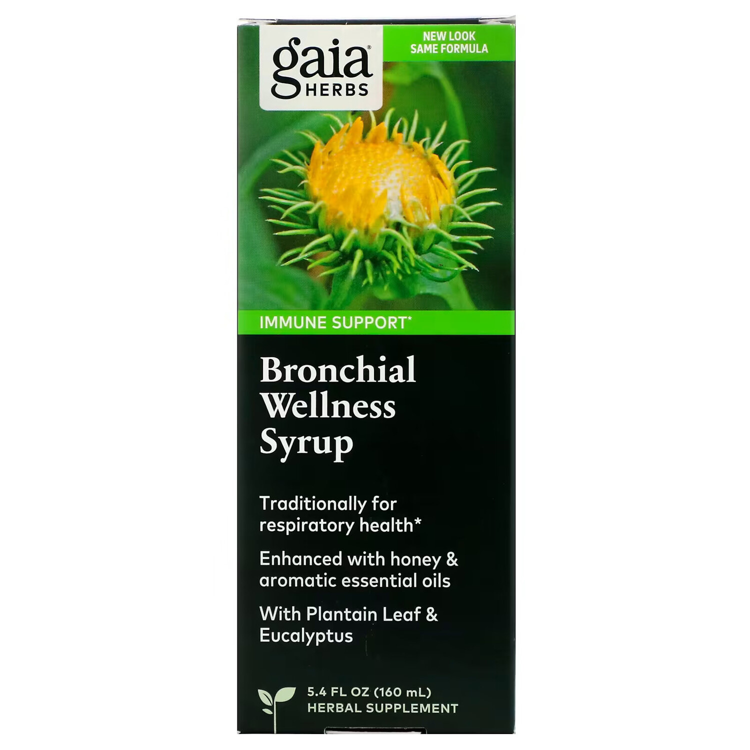 

Gaia Herbs, Бронхиальный оздоровительный сироп, 5,4 жидких унций (160 мл)