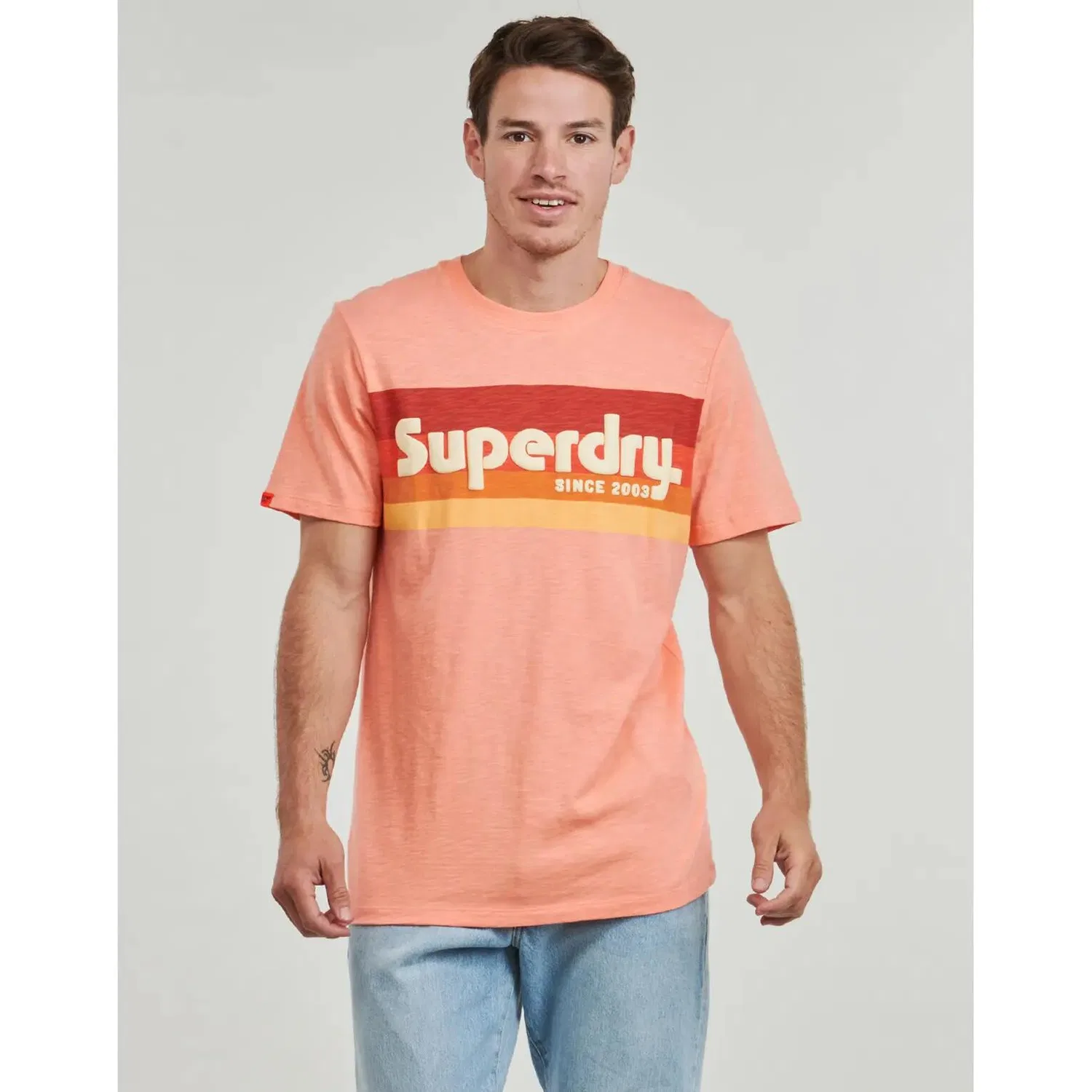 Мужская футболка с принтом Terrain Logo Stripe Superdry, Rosa — фото 2