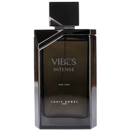 Туалетная вода интенсивная Louis Varel Vibes Intense, 100 мл