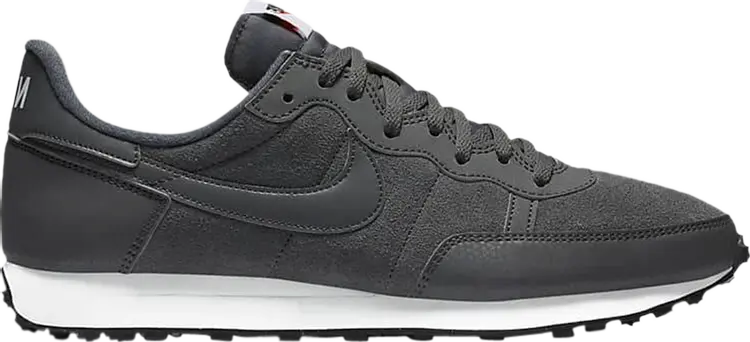 

Кроссовки Nike Challenger OG SE 'Iron Grey Black', серый
