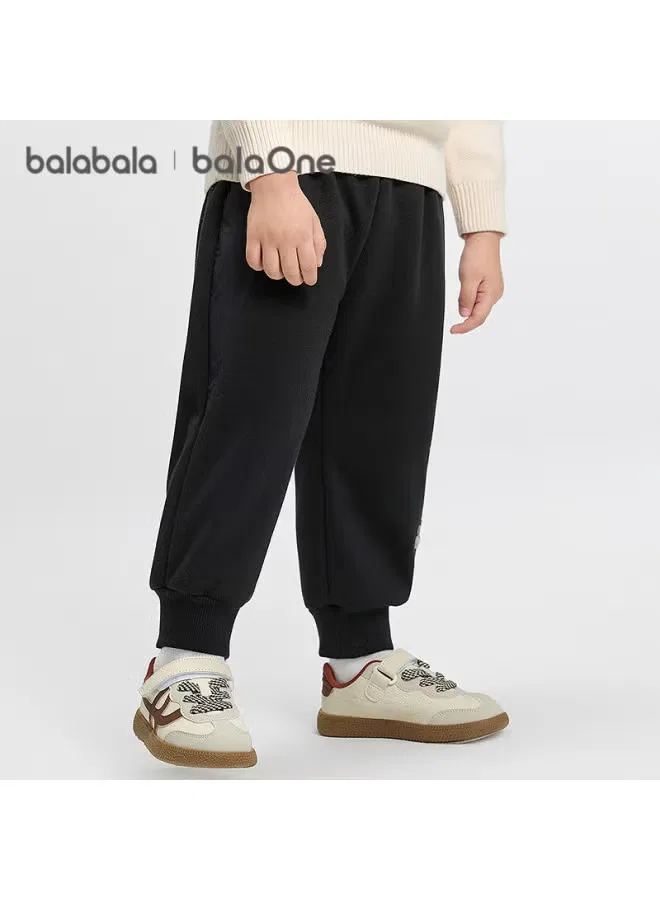 Штаны-джоггеры утепленные с флисовой подкладкой 209425108211 Balabala — фото 2