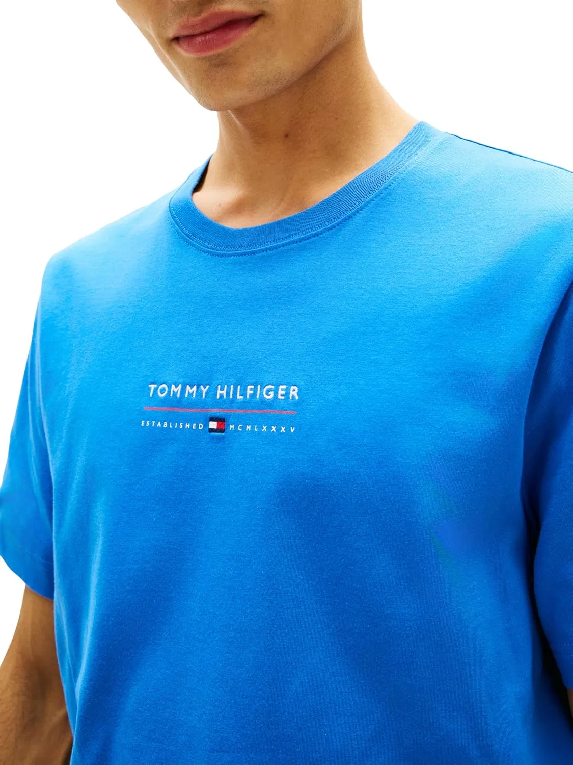 Мужская футболка с графическим принтом Tommy Hilfiger, Blue — фото 2