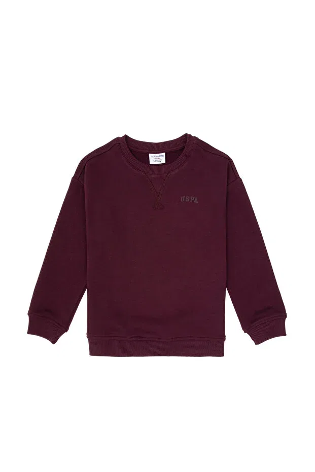 Детские свитшот для мальчиков с длинным рукавом U.S. Polo Assn., Plum