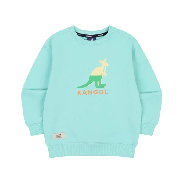Свитшот с лого Kangol Kids, mint