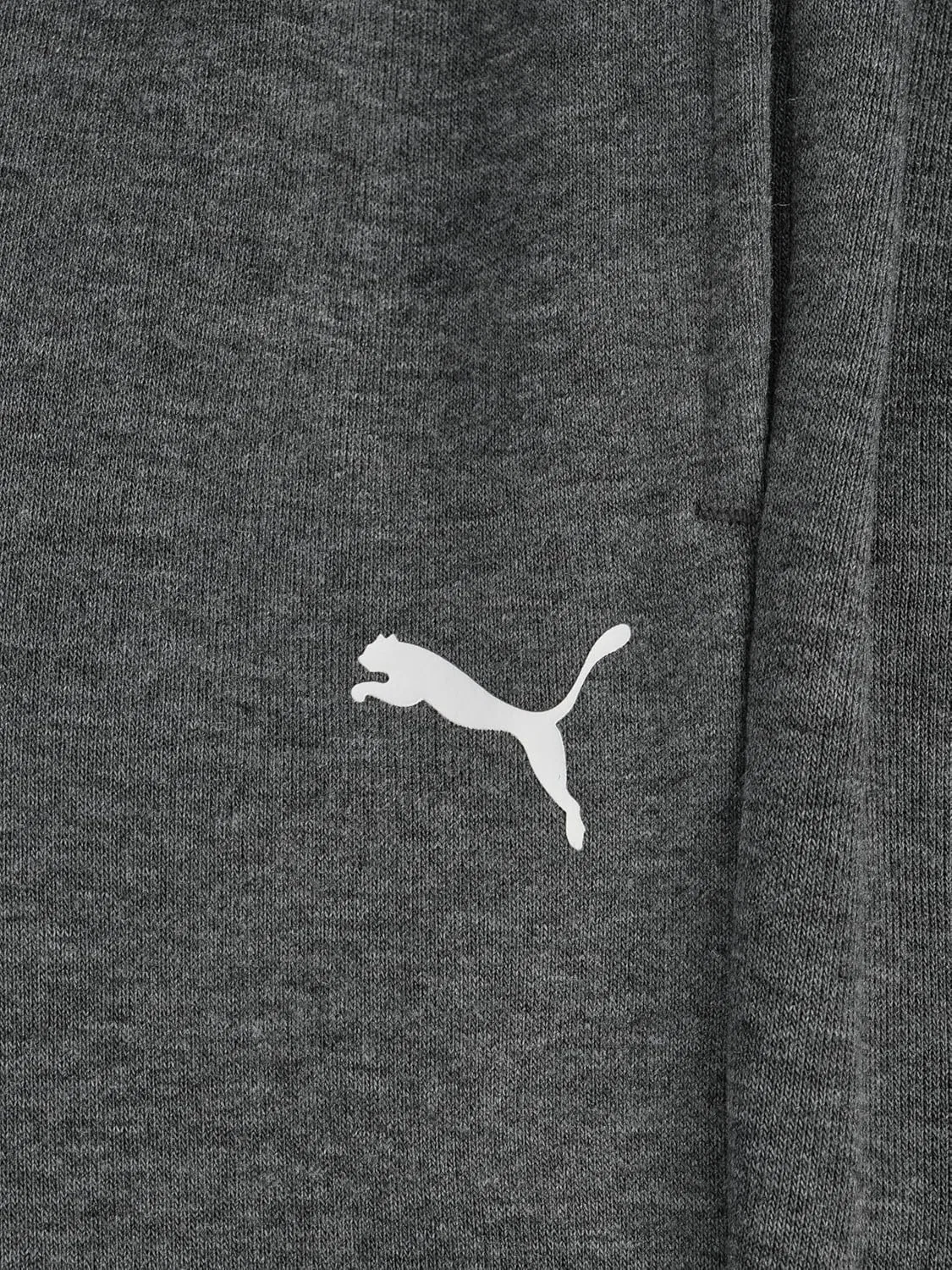 Детские спортивные брюки Puma Essential Basics из флиса с логотипом, эластичным поясом и боковыми карманами, Charcoal Heather — фото 4