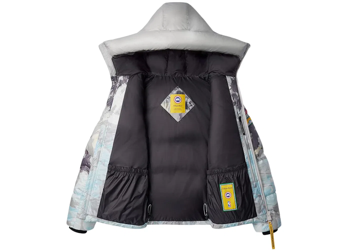Мужская куртка-пуховик с принтом Crofton Puffer Jacket Canada Goose, Landscape Print — фото 3