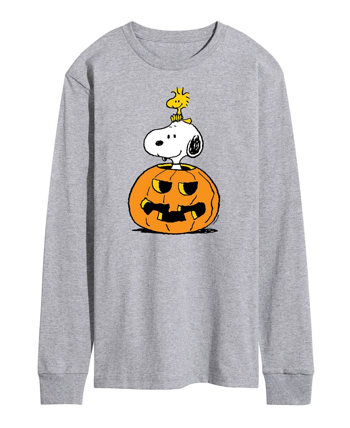 

Мужская футболка peanuts snoopy pumpkin AIRWAVES, серый