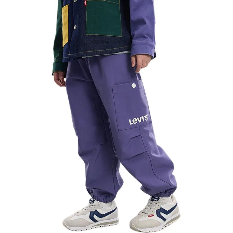 Детские брюки для мальчиков Levi's, Purple Blue
