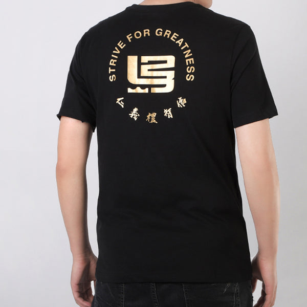 Футболка strive for greatness round-neck short-sleeve tee men black Nike, черный — фото 2