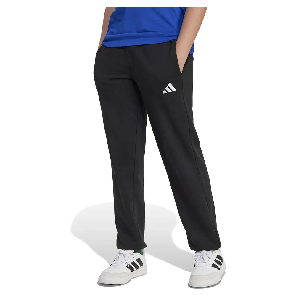 Мужские спортивные штаны с логотипом Adidas Essentials Small Logo, Black