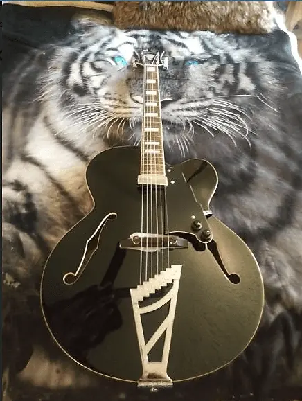 

Электрогитара D'Angelico EXL-1 Premier Series 2019 Black