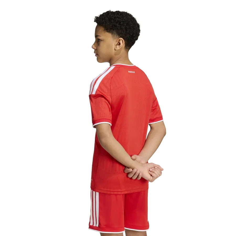 Спортивная футболка ADIDAS PERFORMANCE Performance Shirt 'UNB H' красного цвета — фото 4