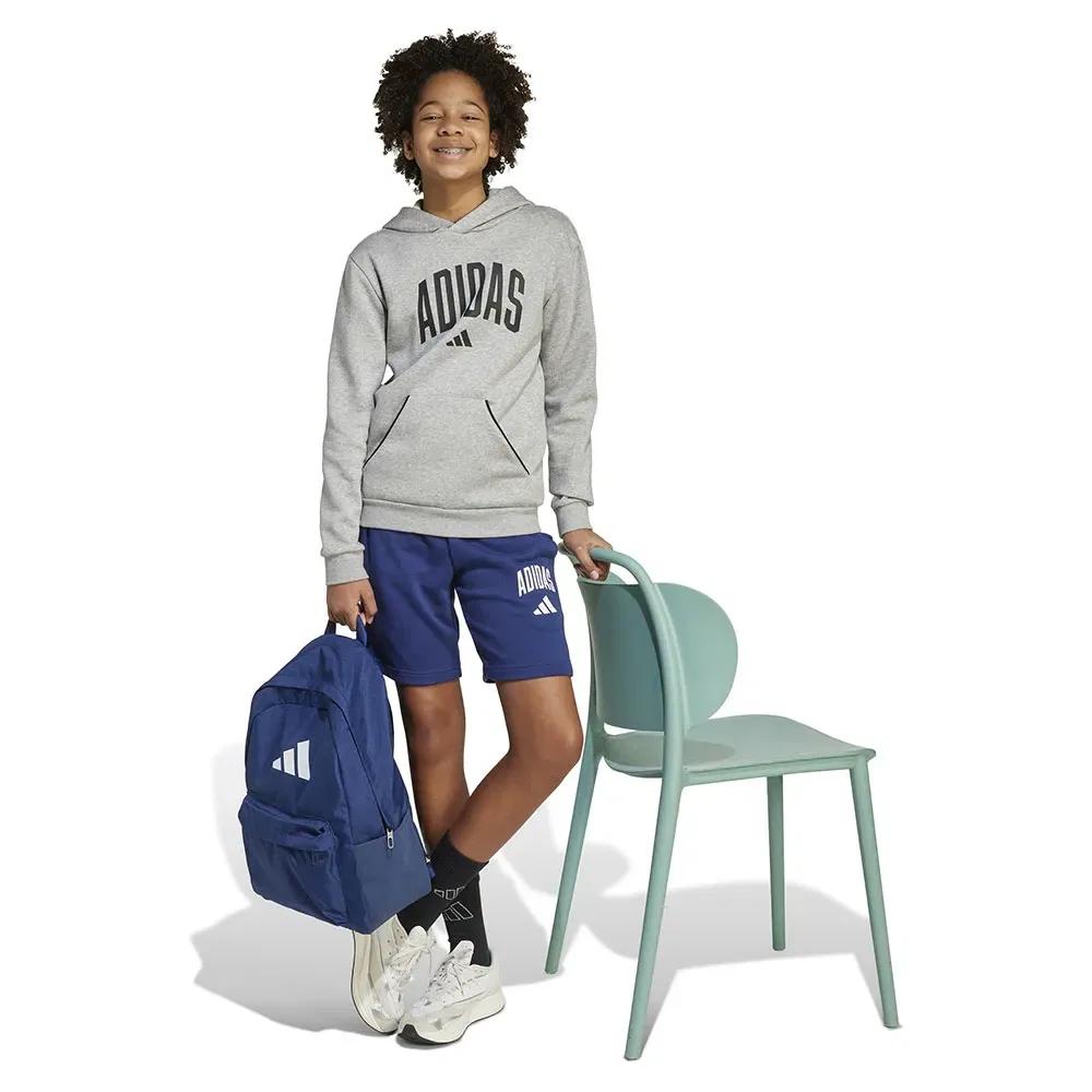 Шорты Adidas Seasonals Essentials Collegiate Typography, синий — фото 3