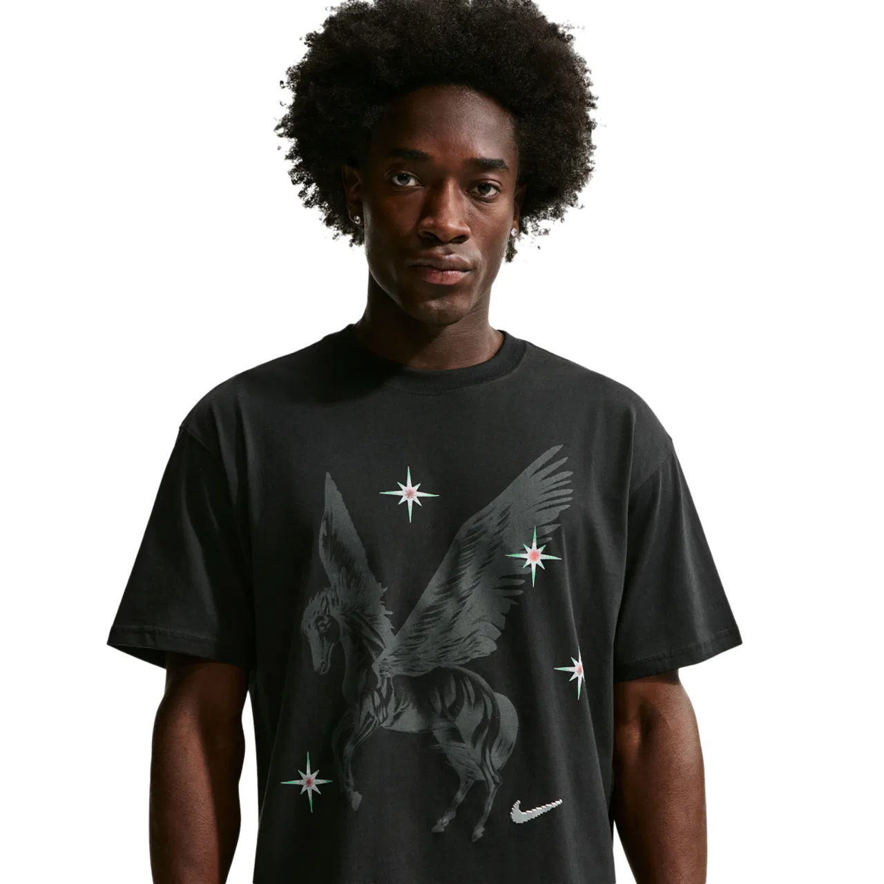 Футболка мужская LA Artist Pegasus Nike, черный/серый