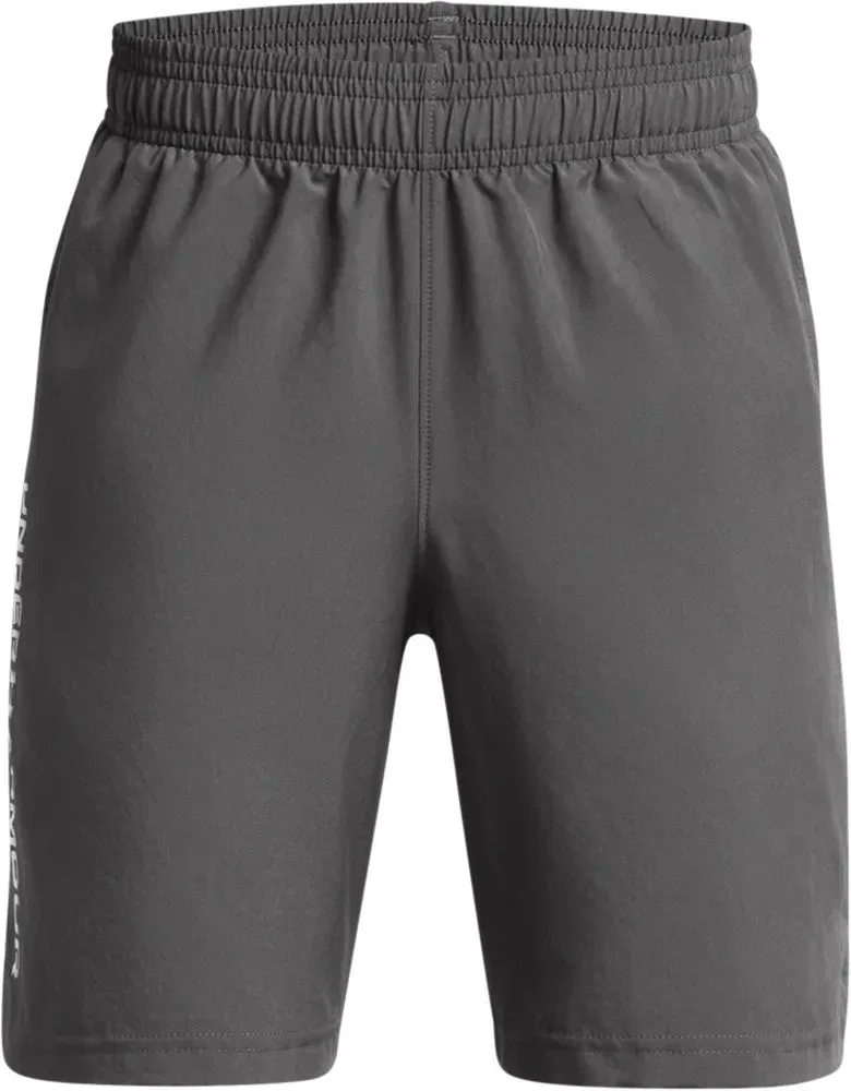 Шорты спортивные серый Under Armour