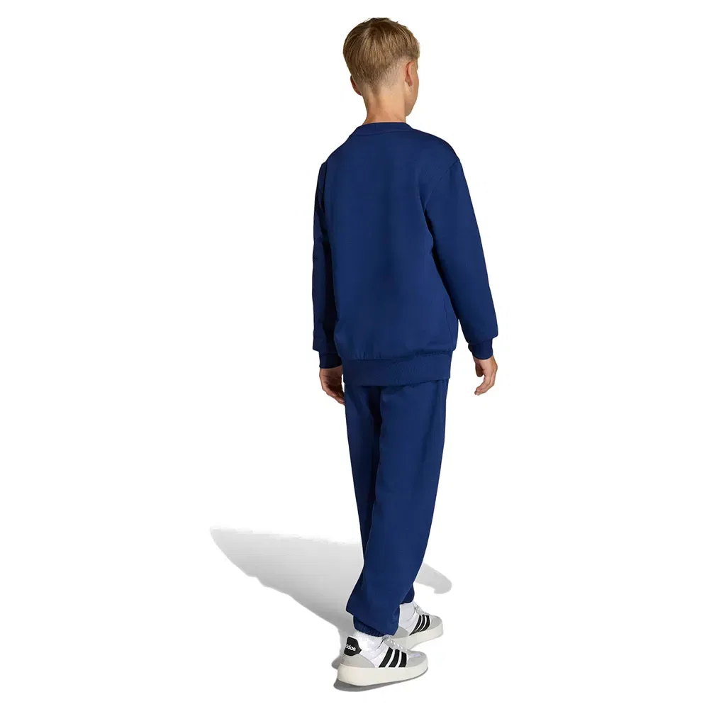 Комплект спортивных штанов Adidas Essentials Joggers, синий — фото 2