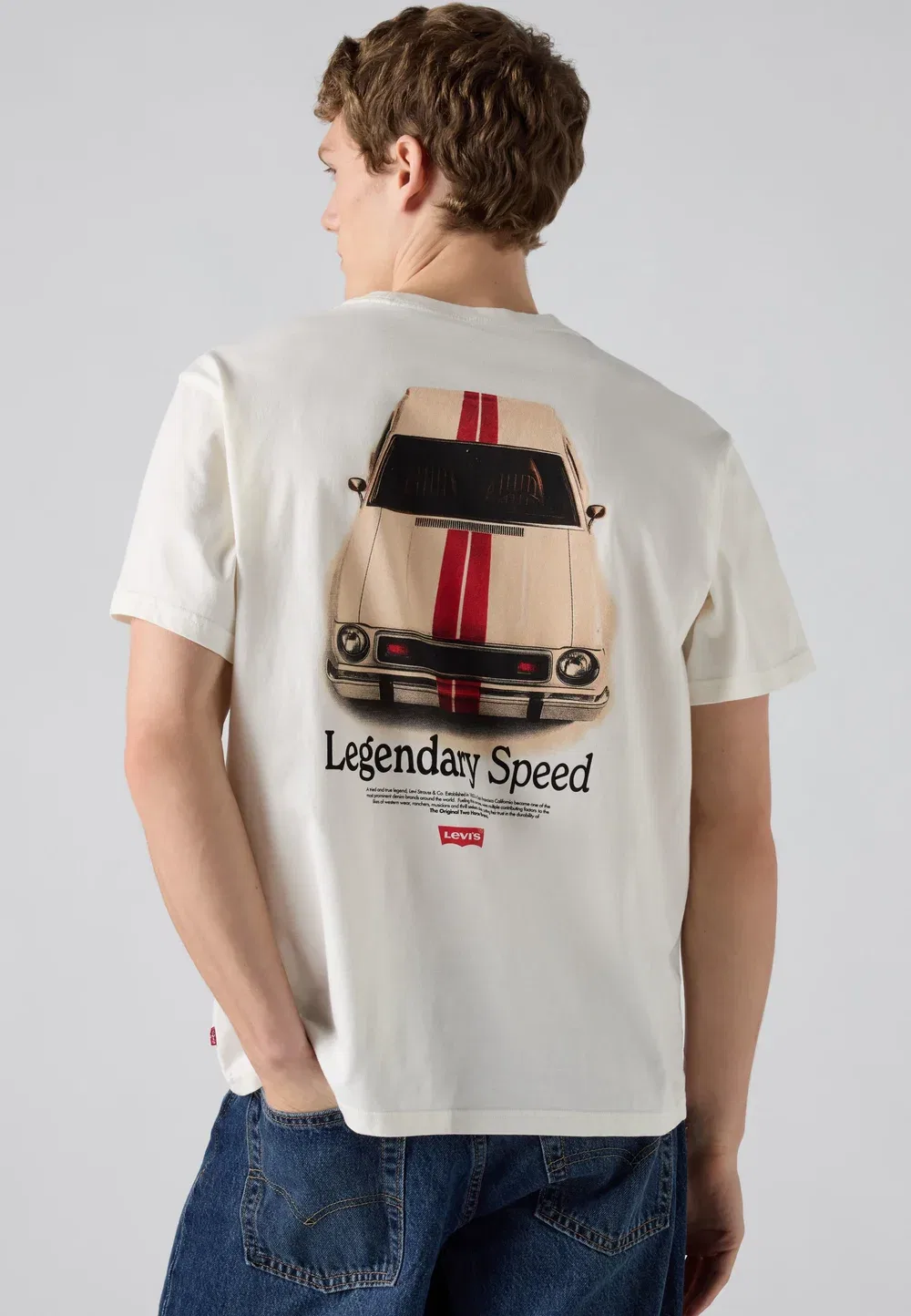 Футболка свободного кроя с принтом Levi'S, Legendary Speed Egret — фото 3