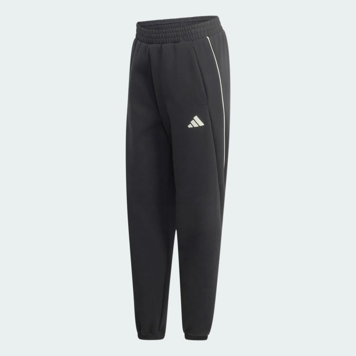 Мужские спортивные штаны с утяжкой Stadium Hose Adidas, Schwarz — фото 2