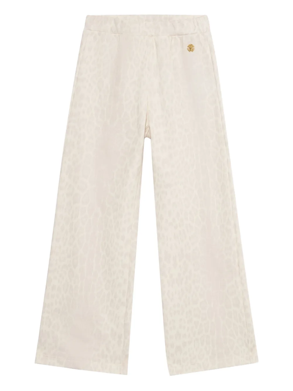 

Спортивные брюки с принтом ягуара Roberto Cavalli, нейтральный