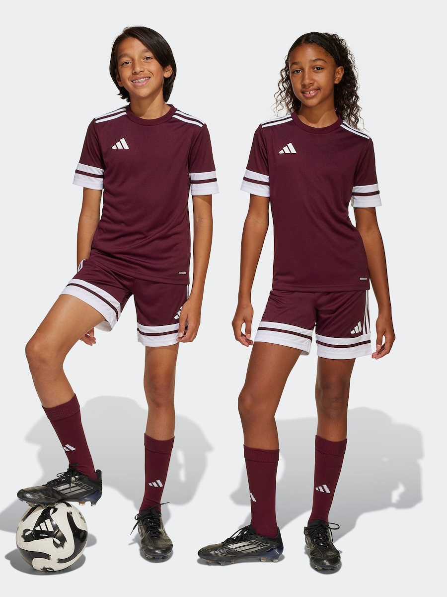 Обычные спортивные штаны ADIDAS PERFORMANCE Squadra 25, красный — фото 2