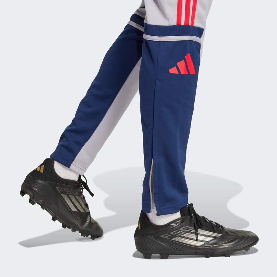 Облегающие тренировочные брюки ADIDAS PERFORMANCE Squadra 25, серый — фото 4
